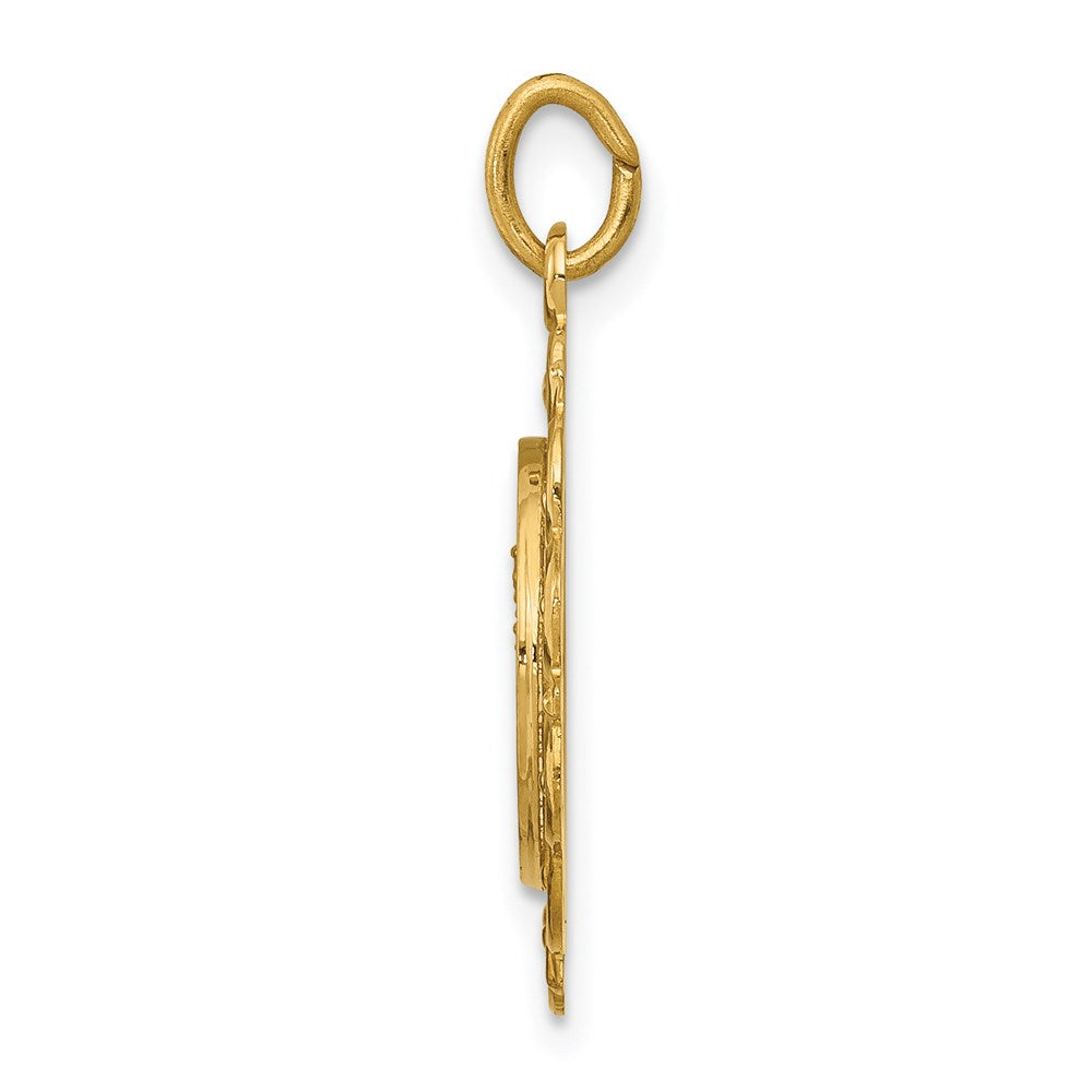 14k Yellow Gold Our Lady of Mt. Carmel Medal Charm