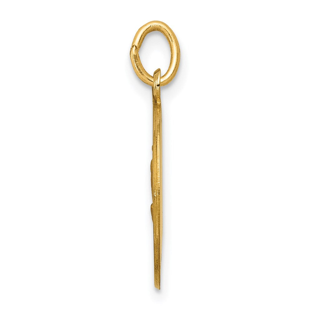 14k Yellow Gold Our Lady of Fatima Medal Charm
