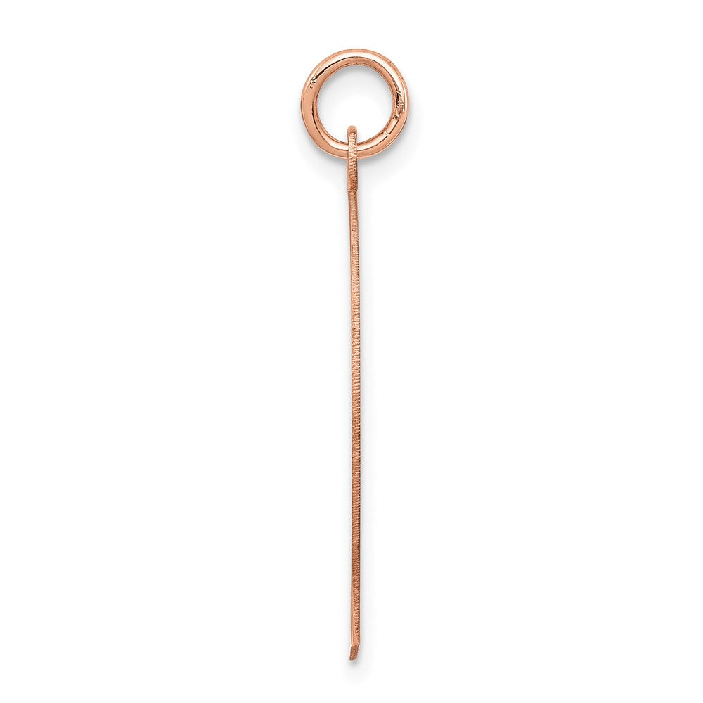 14k Rose Gold Rose Plain Large.011 Gauge Facing Left Engraveable Boy Head Charm