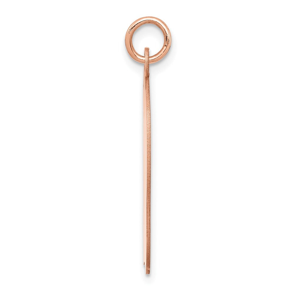 14k Rose Gold Rose Plain Large.013 Gauge Facing Left Engraveable Girl Head Charm