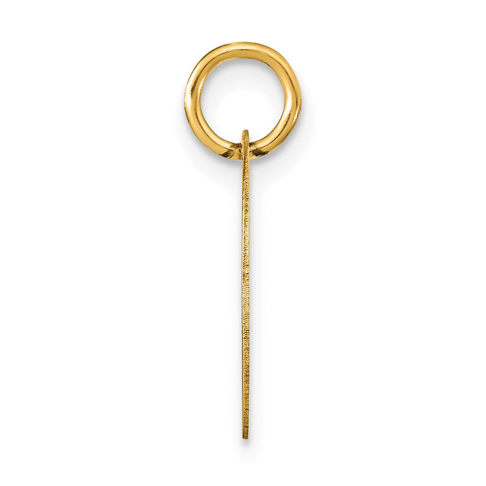 14k Yellow Gold Polished Black Enamel Letter D Initial Disk Charm