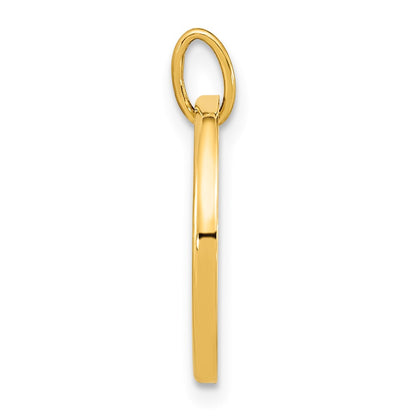 14k Yellow Gold Polished Mother of Pearl Earth Pendant