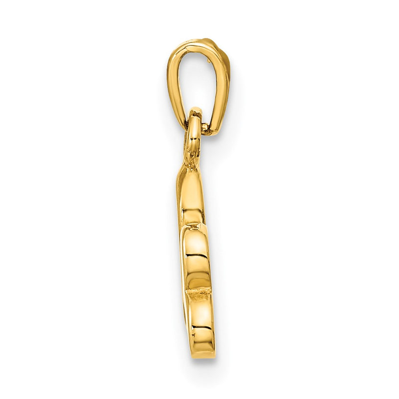 14k Yellow Gold Polished Heart Pendant