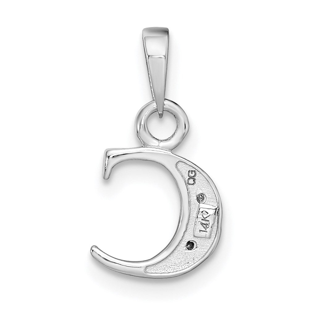 14k White Gold Polished .01ct Diamond Initial C Pendant