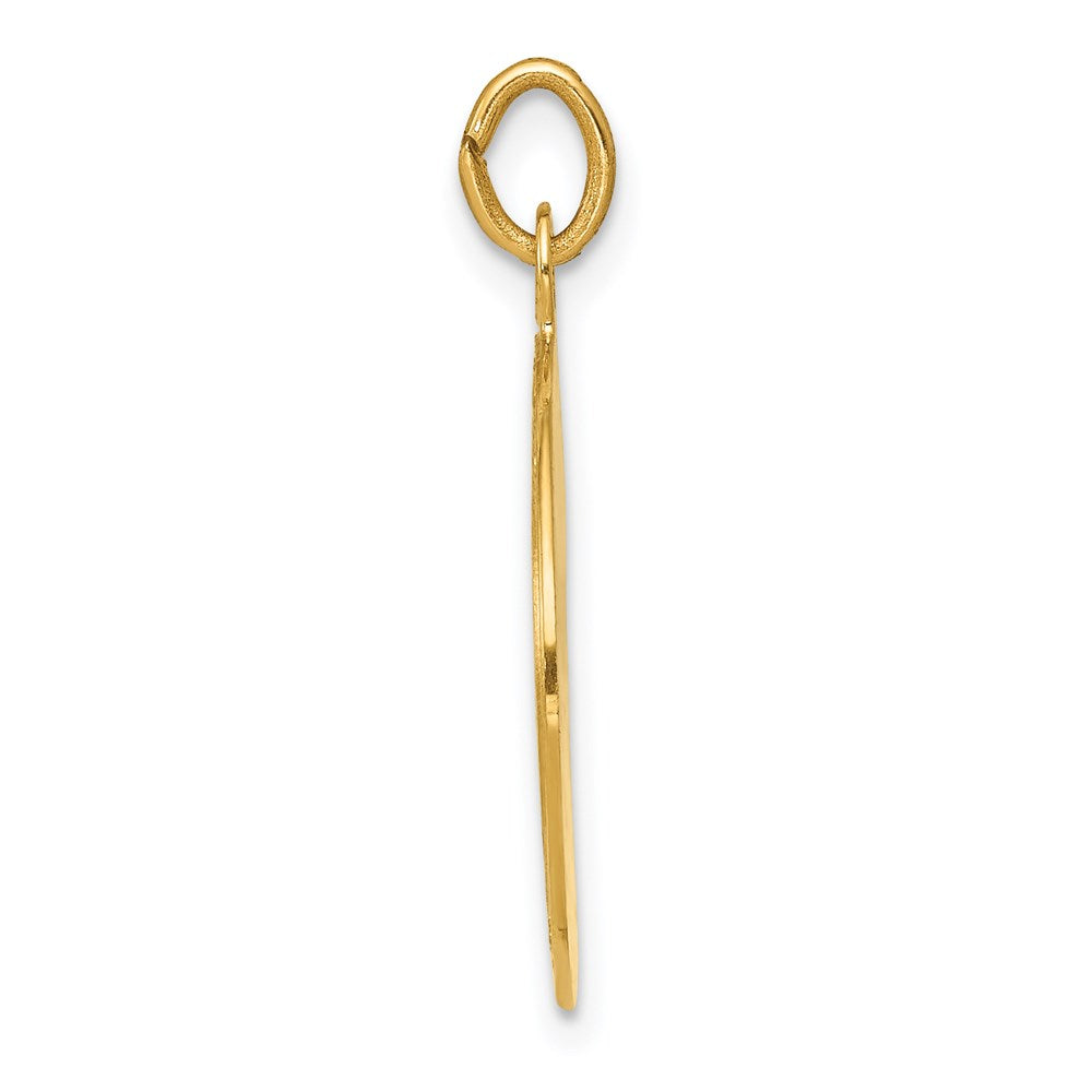 14k Yellow Gold U.S. AIR FORCE Insignia Disc Pendant