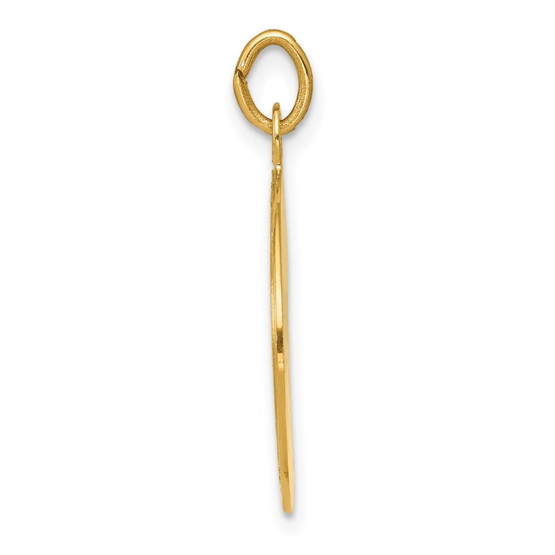 14k Yellow Gold U.S. AIR FORCE Insignia Disc Pendant