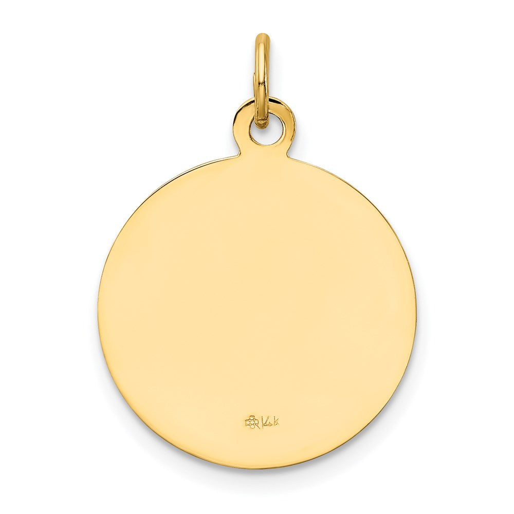 14k Yellow Gold U.S. AIR FORCE Insignia Disc Pendant