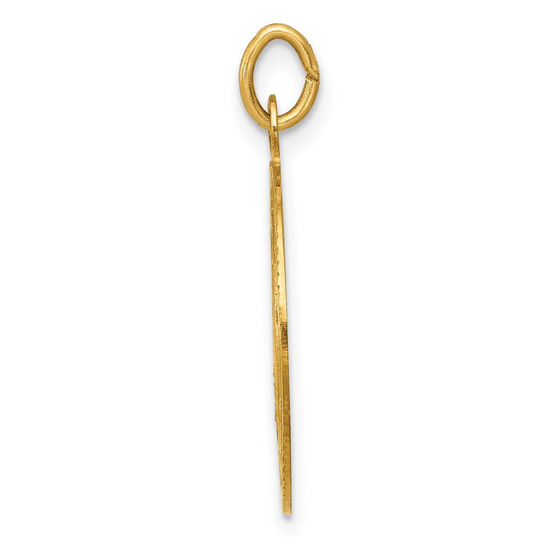 14k Yellow Gold U.S. NAVY Insignia Disc Pendant