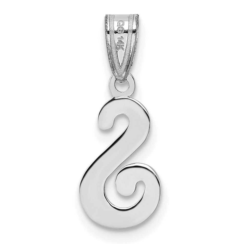 14k White GoldW White Gold Script Letter S Initial Pendant