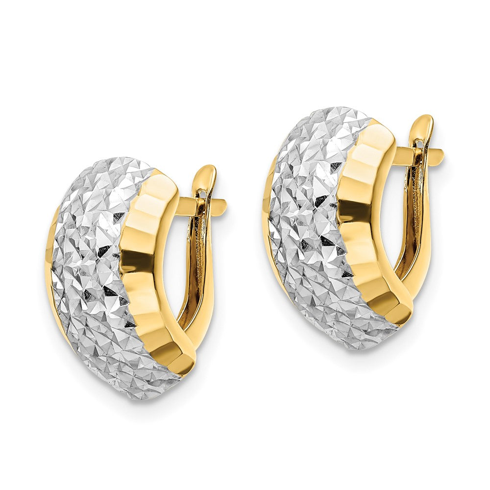 14k Yellow & Rhodium Gold w/ White Rhodium Diamond-cut Hinged Earrings