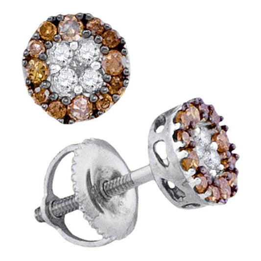 14k White Gold Brown Diamond Cluster Stud Earrings 1/3 Cttw