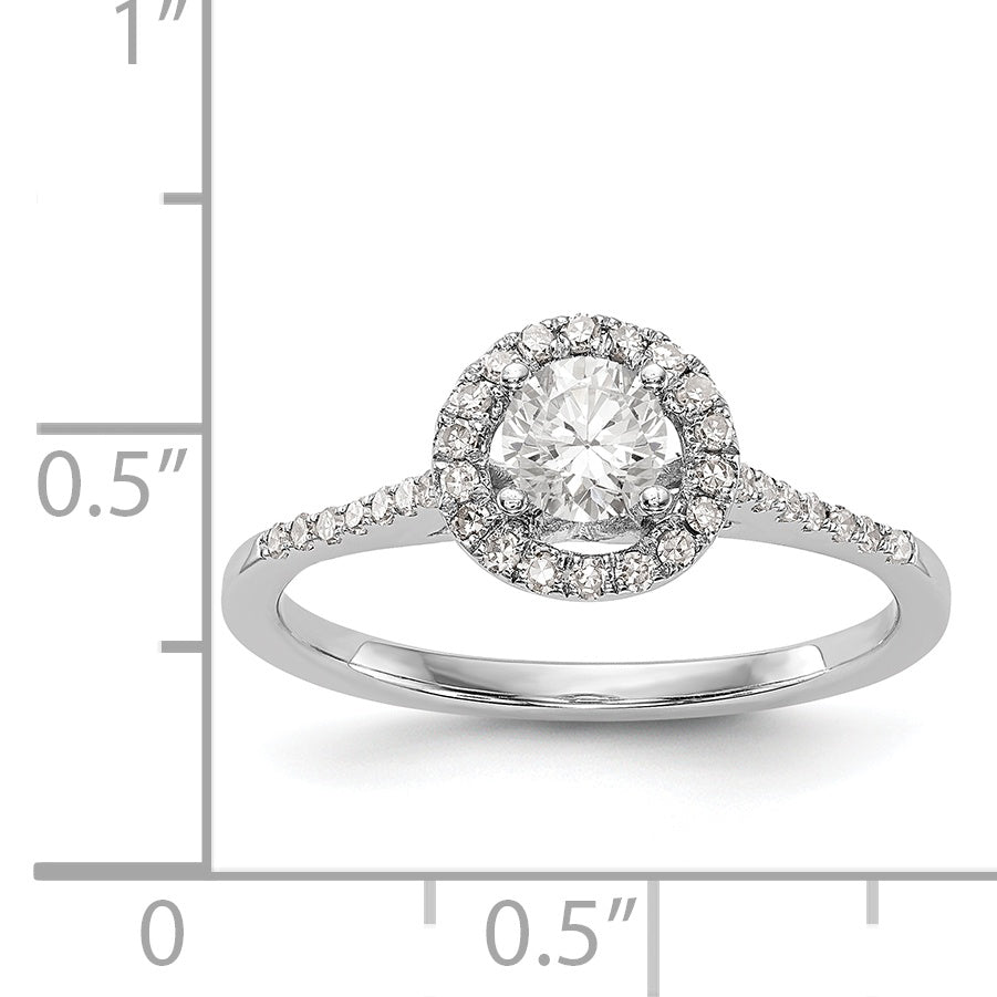 3/4 Ct. T.W. Natural Diamond Halo Engagement Ring in 14K White Gold